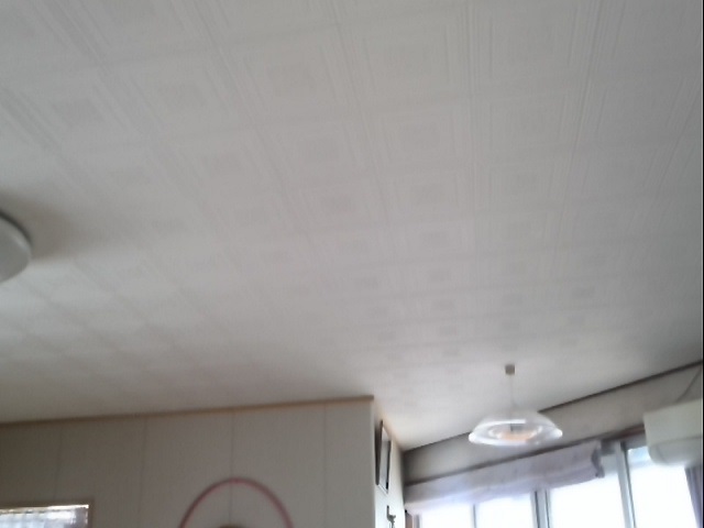 天井貼り